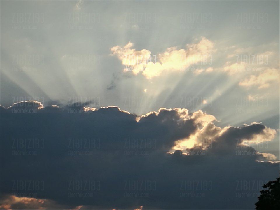 IMG_20170627_053219.jpg - ZIBIZIB3