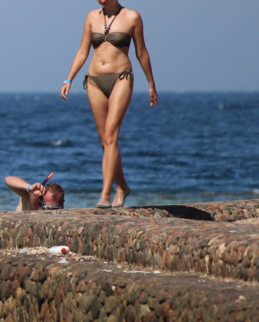 O.jpg - brazowoniebiescy