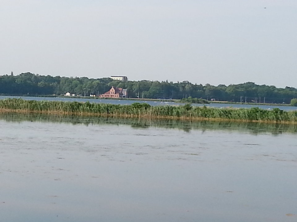 JPEG_20170628_182656_-1609959476.jpg - mlody1277