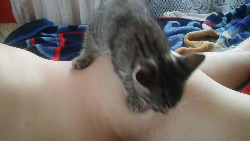 received_1563040560412650.jpeg - pikkier