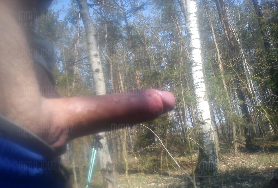 77.JPG - mmojduzy102