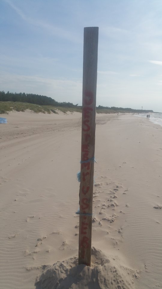 20170628_172531.jpg - pokuszenine