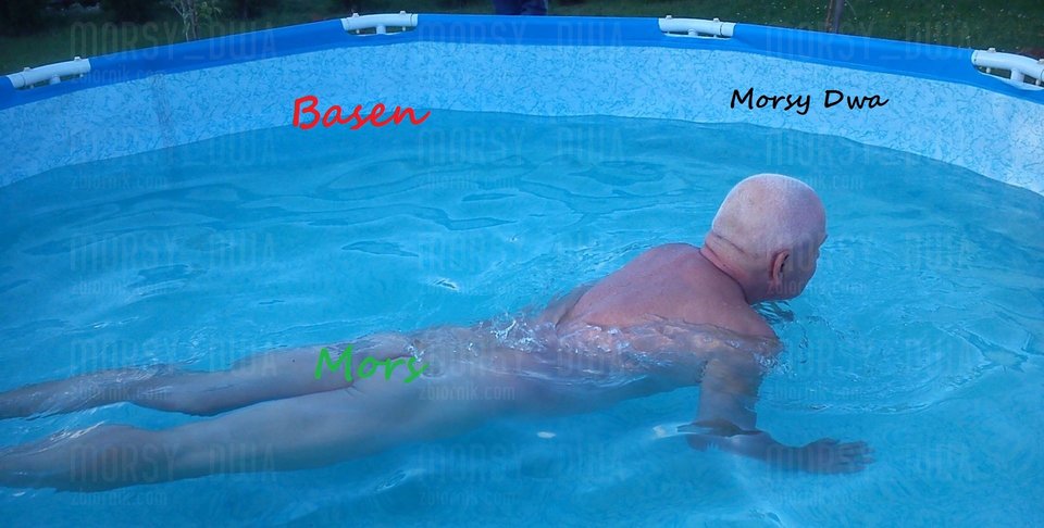 Otwarcie basenu - Morsy_dwa