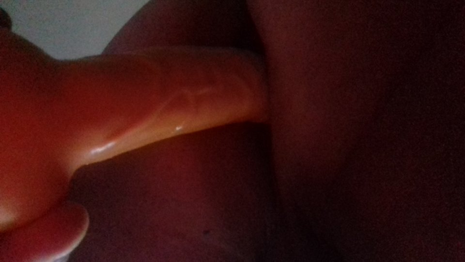 20170705_191430.jpg - robercu