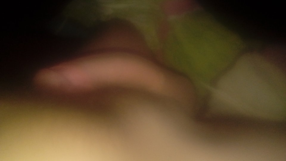 14993970532321061479412.jpg - Tomci