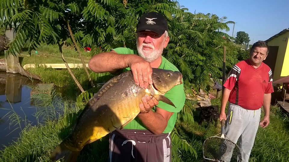 WP_20170707_003.jpg - robert1958