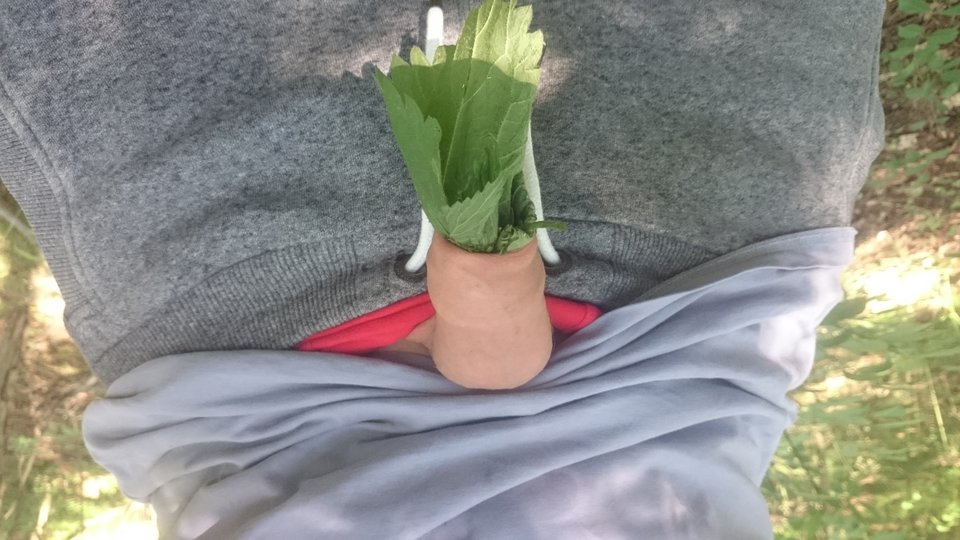 DSC_0382.JPG - zbyhof