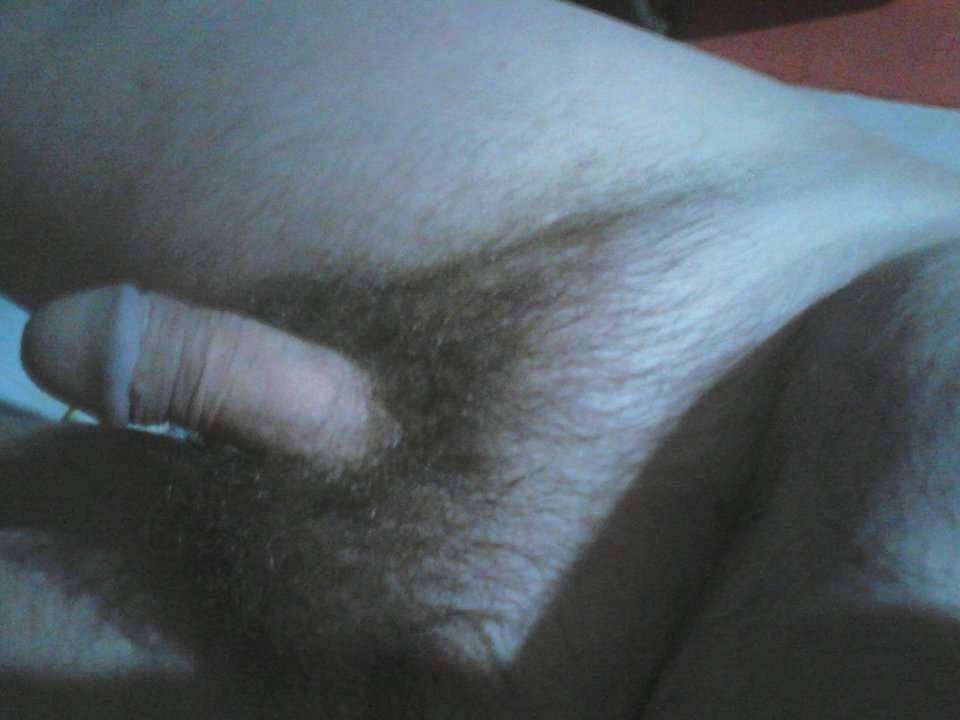 DSC_0036.jpg - Rober28811