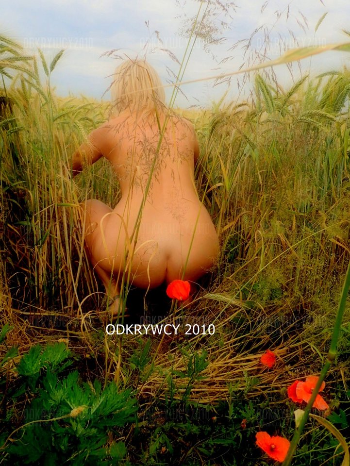 Szukajcie a znajdziecie :) - Odkrywcy2010