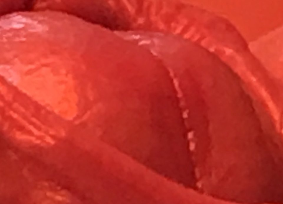 IMG_2093.JPG - nanowomy