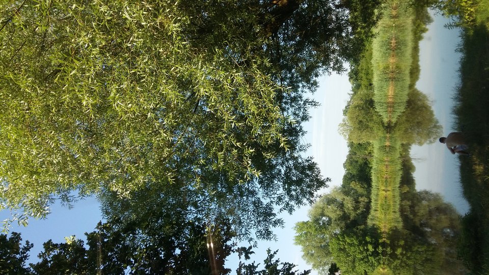 20170709_173726.jpg - pabllobi