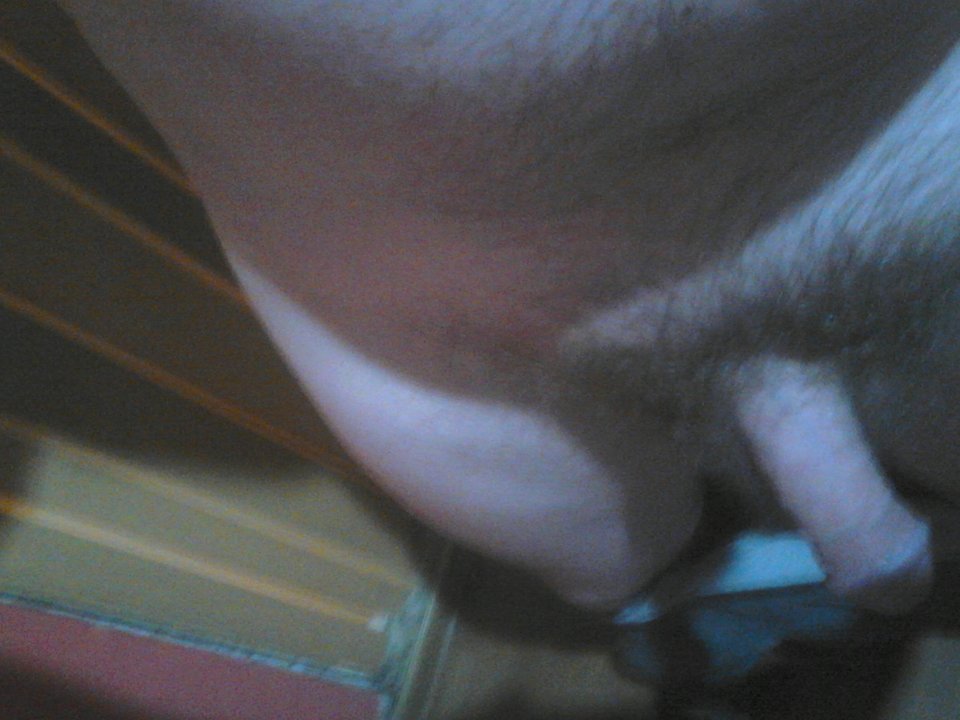 DSC_0002.jpg - Rober28811