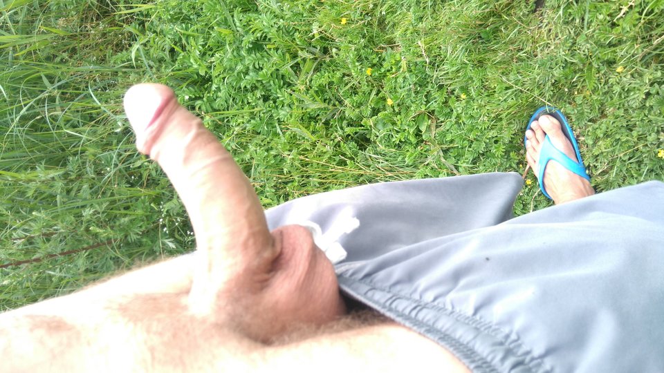 DSC_0014.JPG - 85kubi