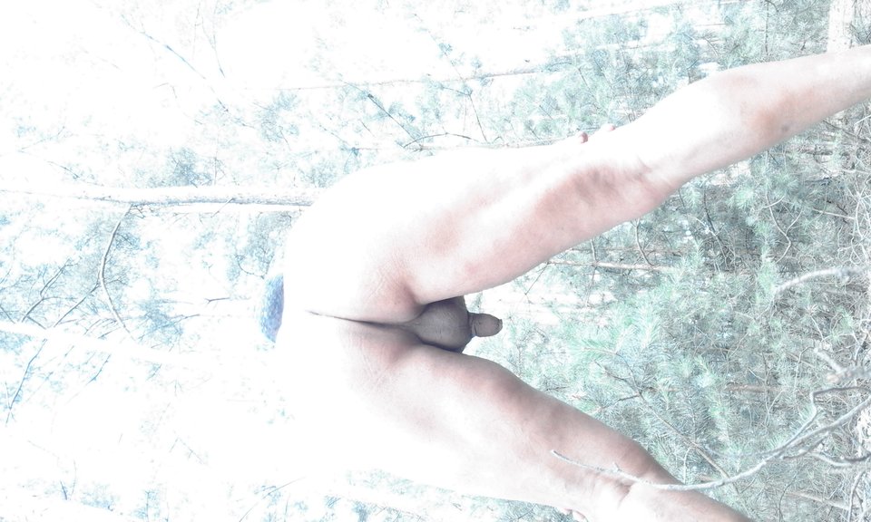 20170711_185536.jpg - lickemydick