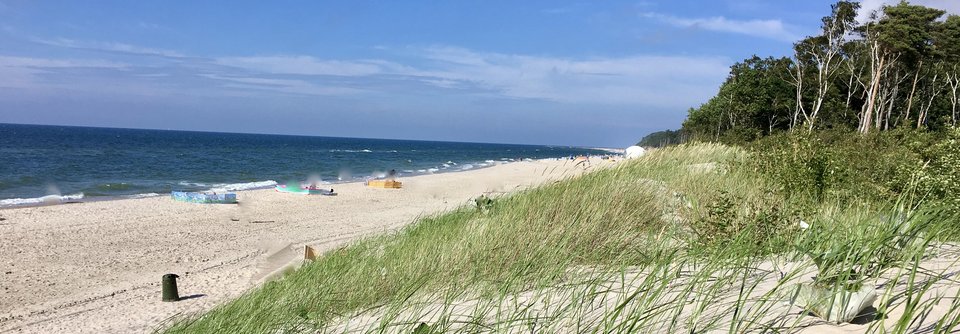 fullsizeoutput_3a1.jpeg - AiT_para