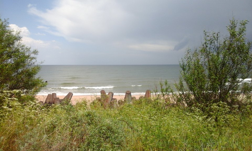 060.jpg - OBRZEZANY1