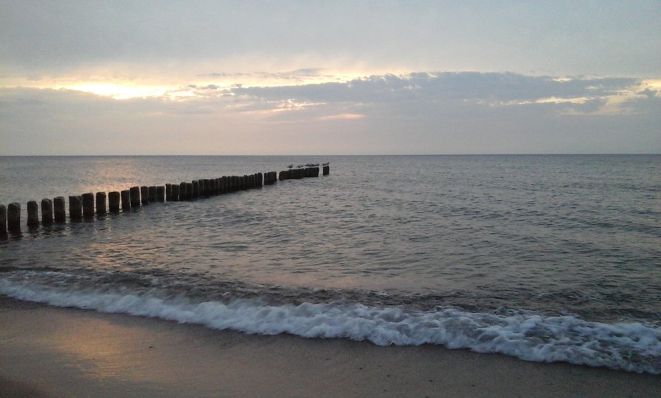 054.jpg - OBRZEZANY1