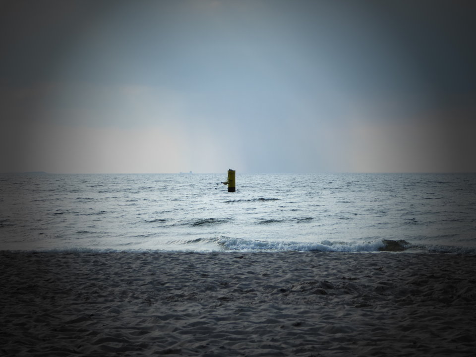 1000363.jpg - stuart77