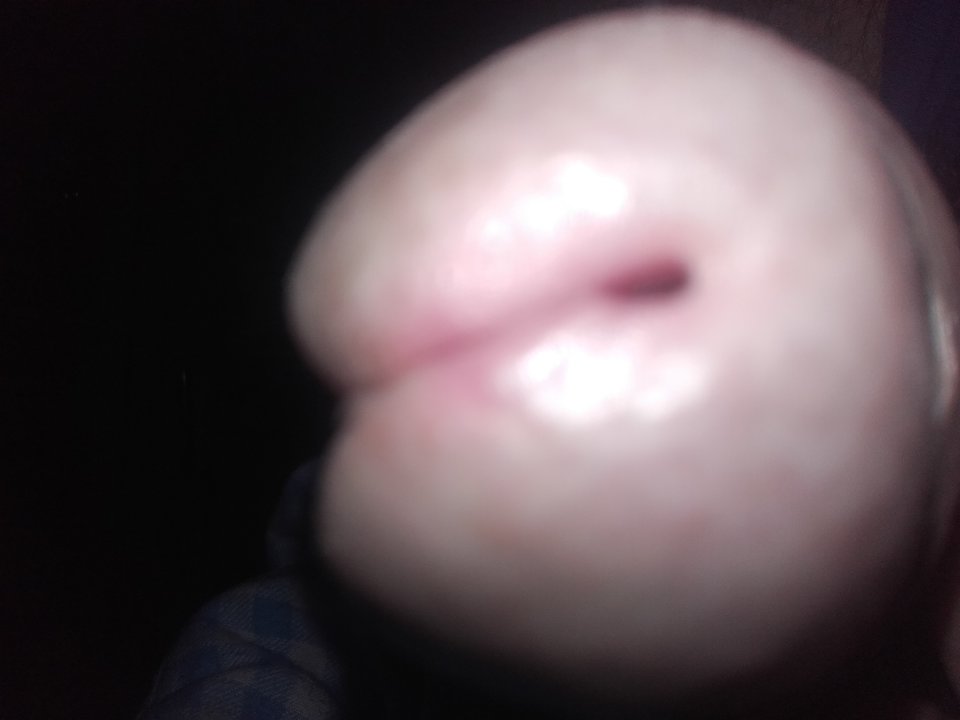 20170717_064830.jpg - gutek1234