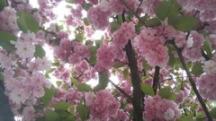 20150506_131108.jpg