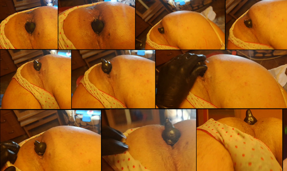 FOTO BAKLAŻAN.jpg - ArekNo1