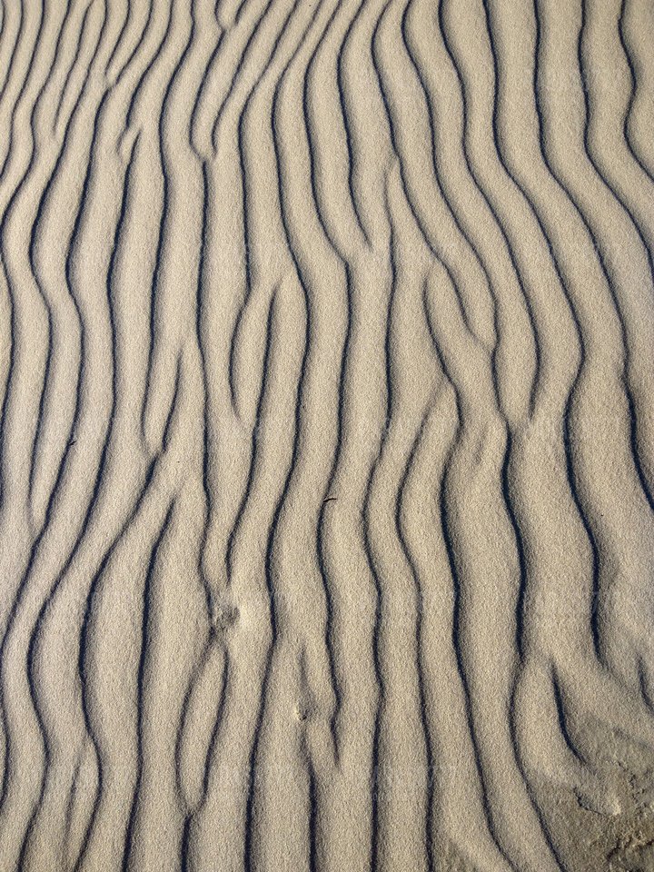 IMG_20170709_184330_HDR.jpg - PARAS8777