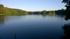 WP_20170615_005.jpg