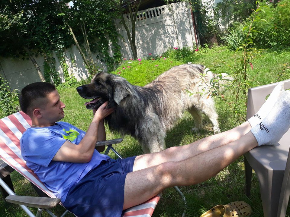 20317246_1521504204578203_65855480_o.jpg - marek222222