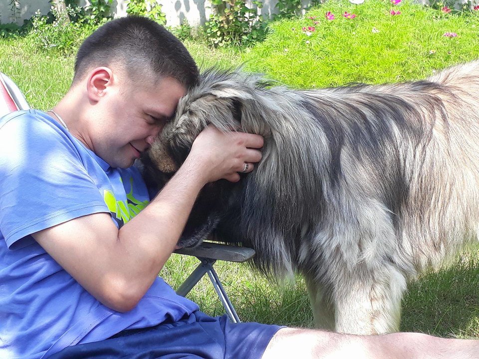 20347831_1521504291244861_843748020_o.jpg - marek222222