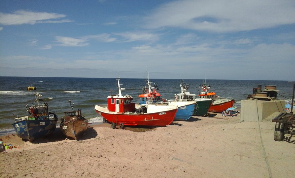 025.jpg - OBRZEZANY1