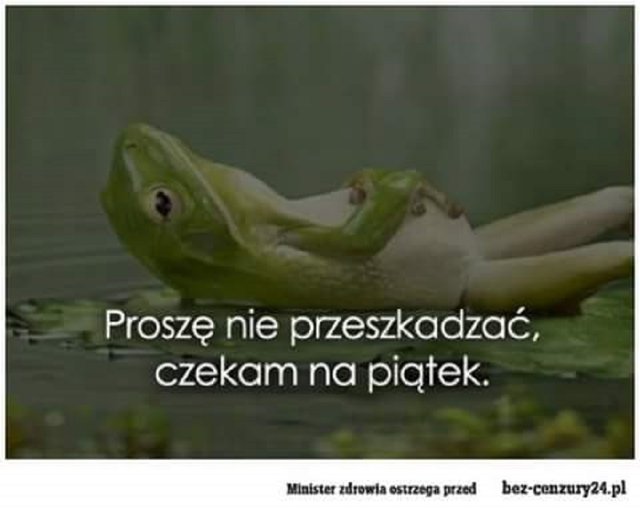 11811579_661316280634650_586448720827493499_n.jpg - Ikselka7979