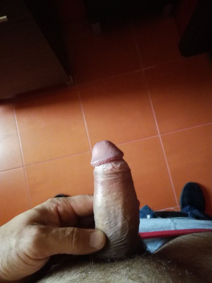 IMG_20170728_114852.jpg - gonzo_18