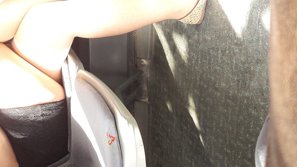 1 (2).jpg - wesolaparkalbl