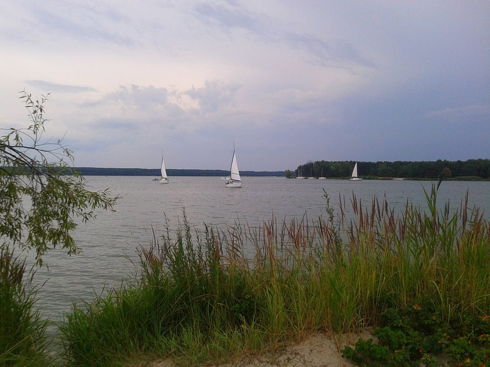 Zdjęcie-0029.jpg - lookin_