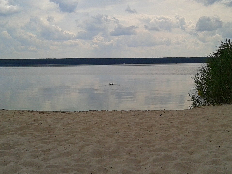 Zdjęcie-0020.jpg - lookin_