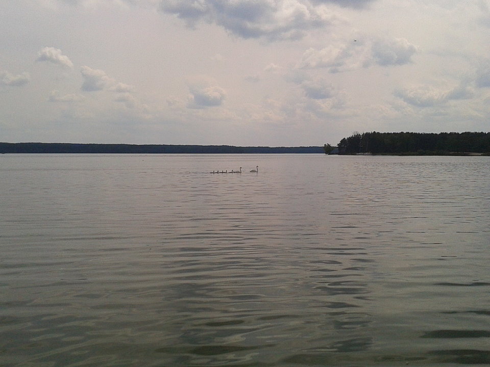 Zdjęcie-0028.jpg - lookin_