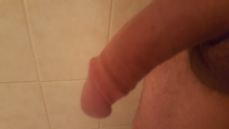 20170730_065541.jpg - perwers42