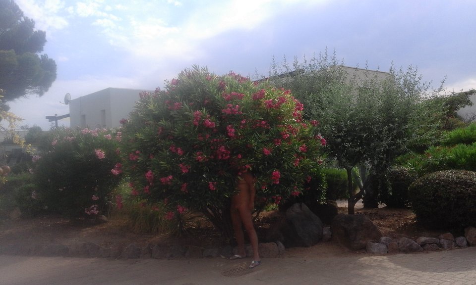 20170723_182156.jpg - Onipo40kielce