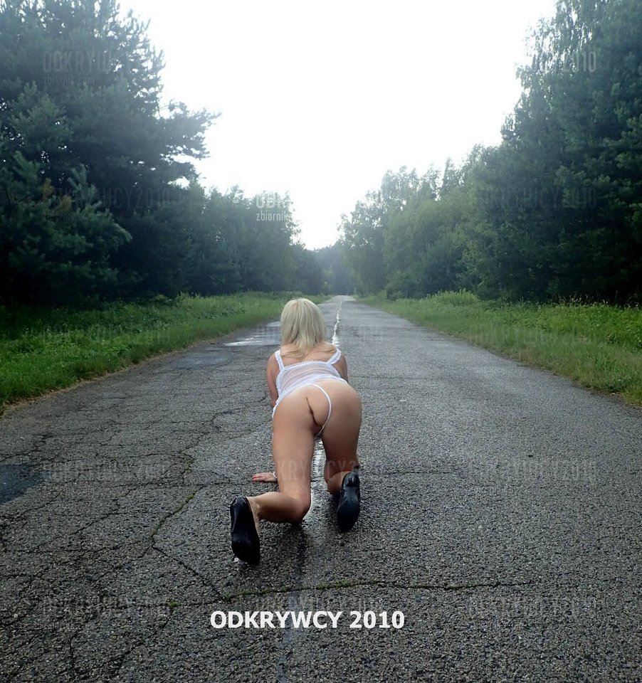Kotek na drodze. - Odkrywcy2010