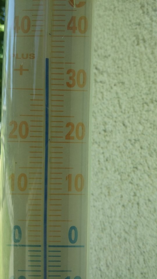 20170801_143852.jpg - grist