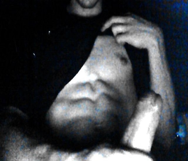 zbds.jpg - FitSnake24