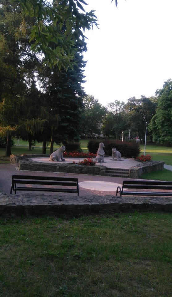 Może ma ktoś ochotę na spacerek 😊😚😚😚 - wojtas388
