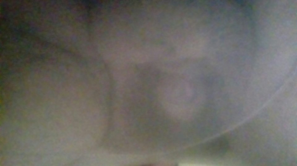 20170613_124453.jpg - Kamilia