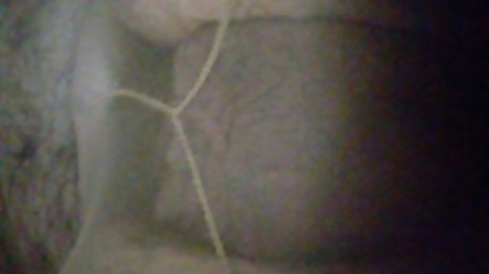 20170616_062033.jpg - Kamilia