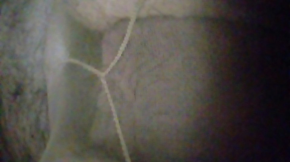 20170616_062036.jpg - Kamilia