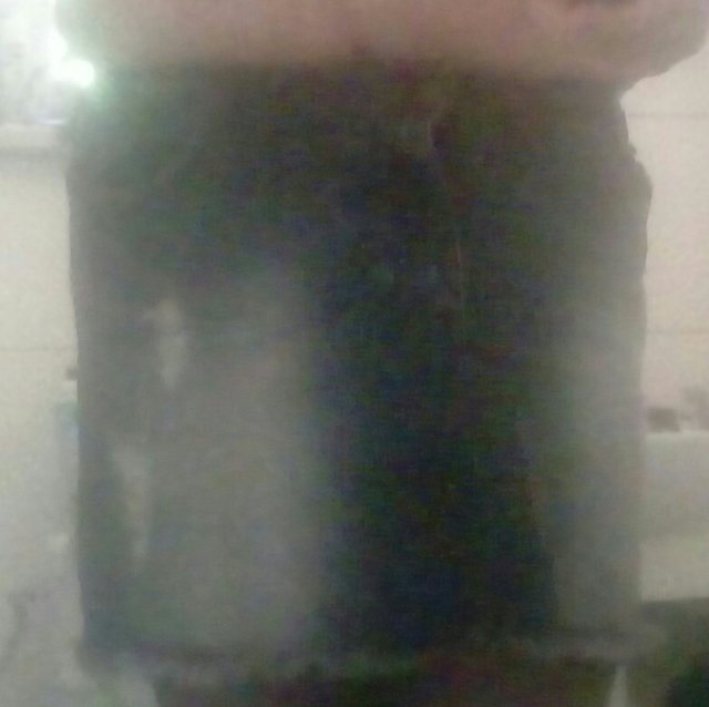 20170731_130306-1.jpg - Kamilia