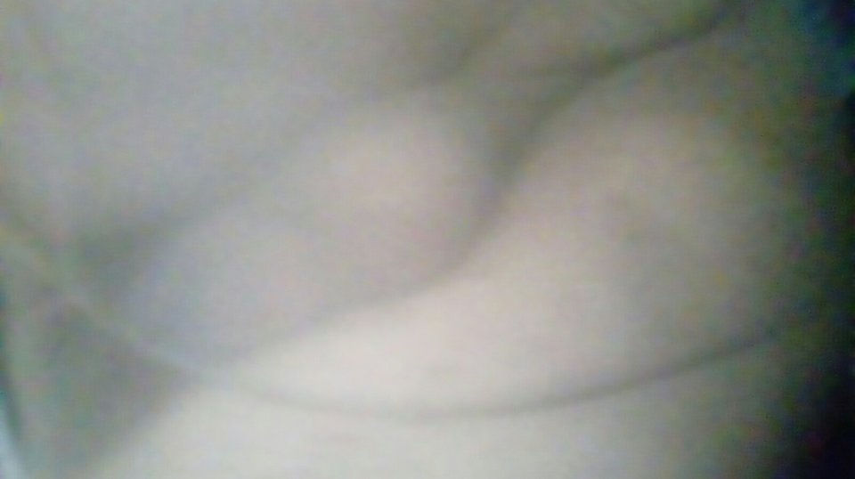 20170613_124435.jpg - Kamilia