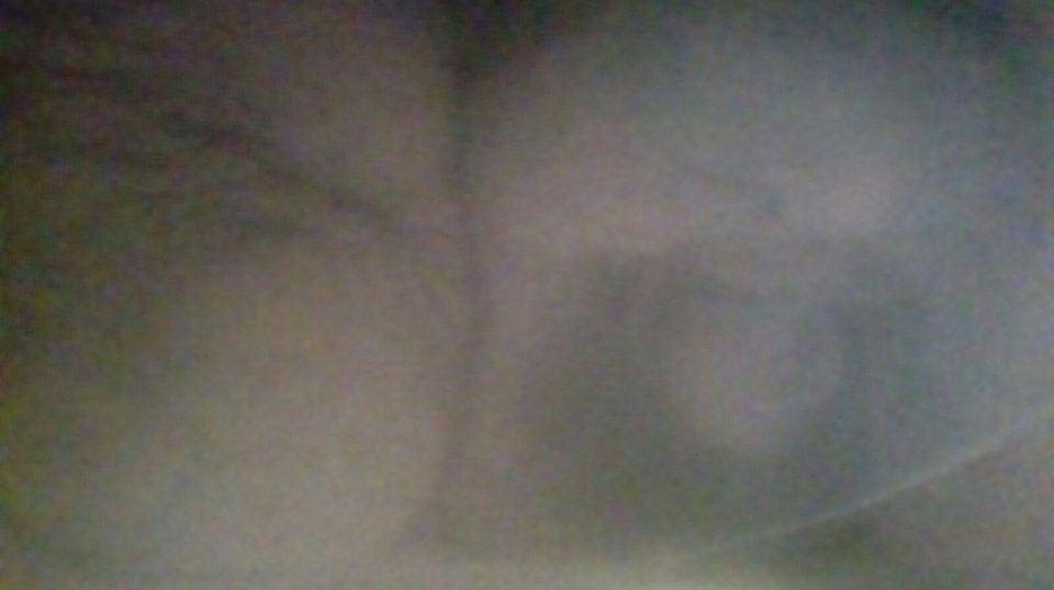 20170613_124448.jpg - Kamilia