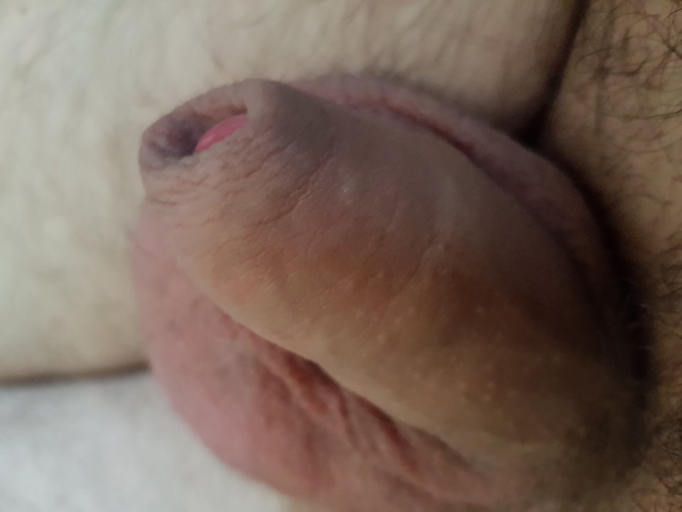 20170804_182607.jpg - krzysppietka69