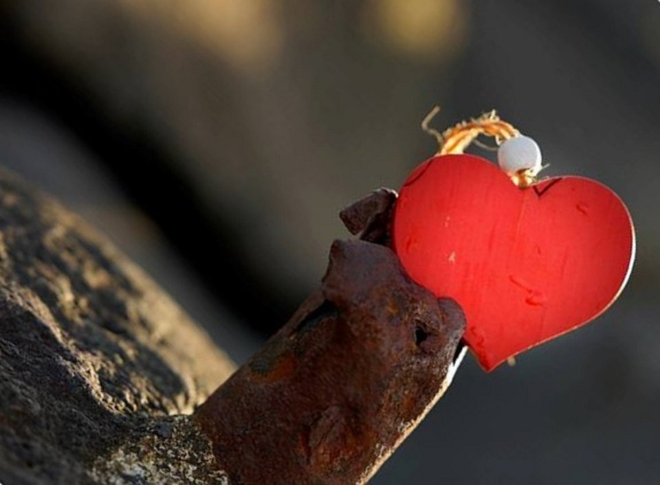 18280627_10155308689503928_1710054136_n.jpg - Ejrene